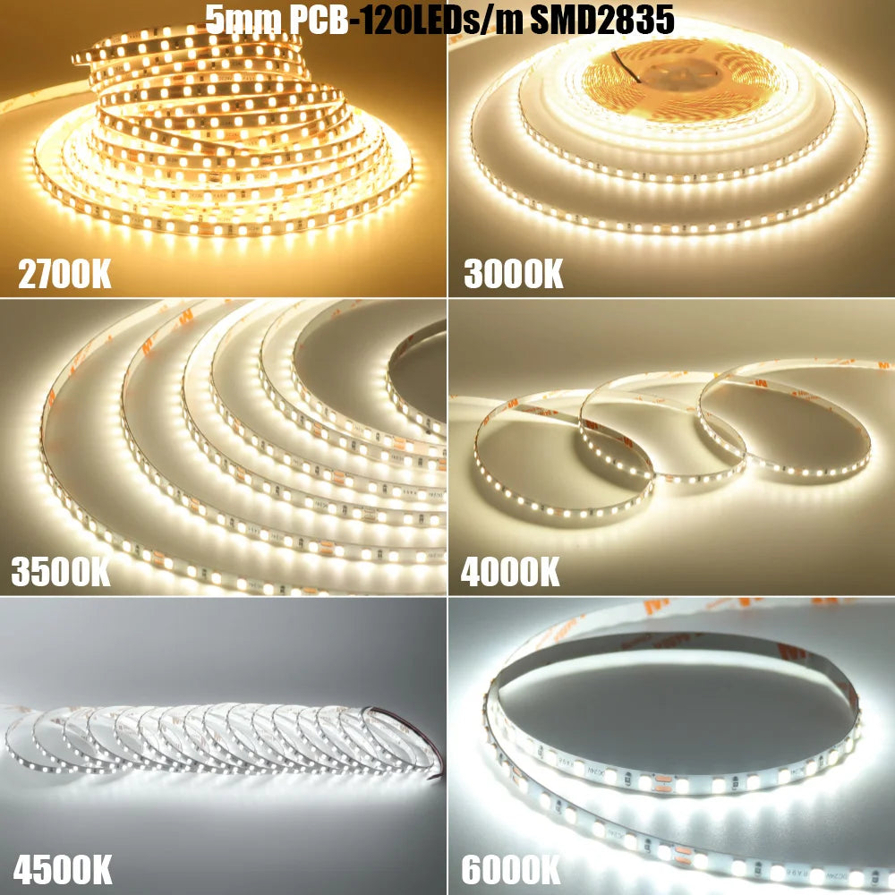 5mm 8mm Led Strip Light RA98 10mm PCB 2700K 3000K 3500K 4000K 5000K 6000K 5m 10m 24V 2835 120 240 LEDs Flexible Tape Lighting