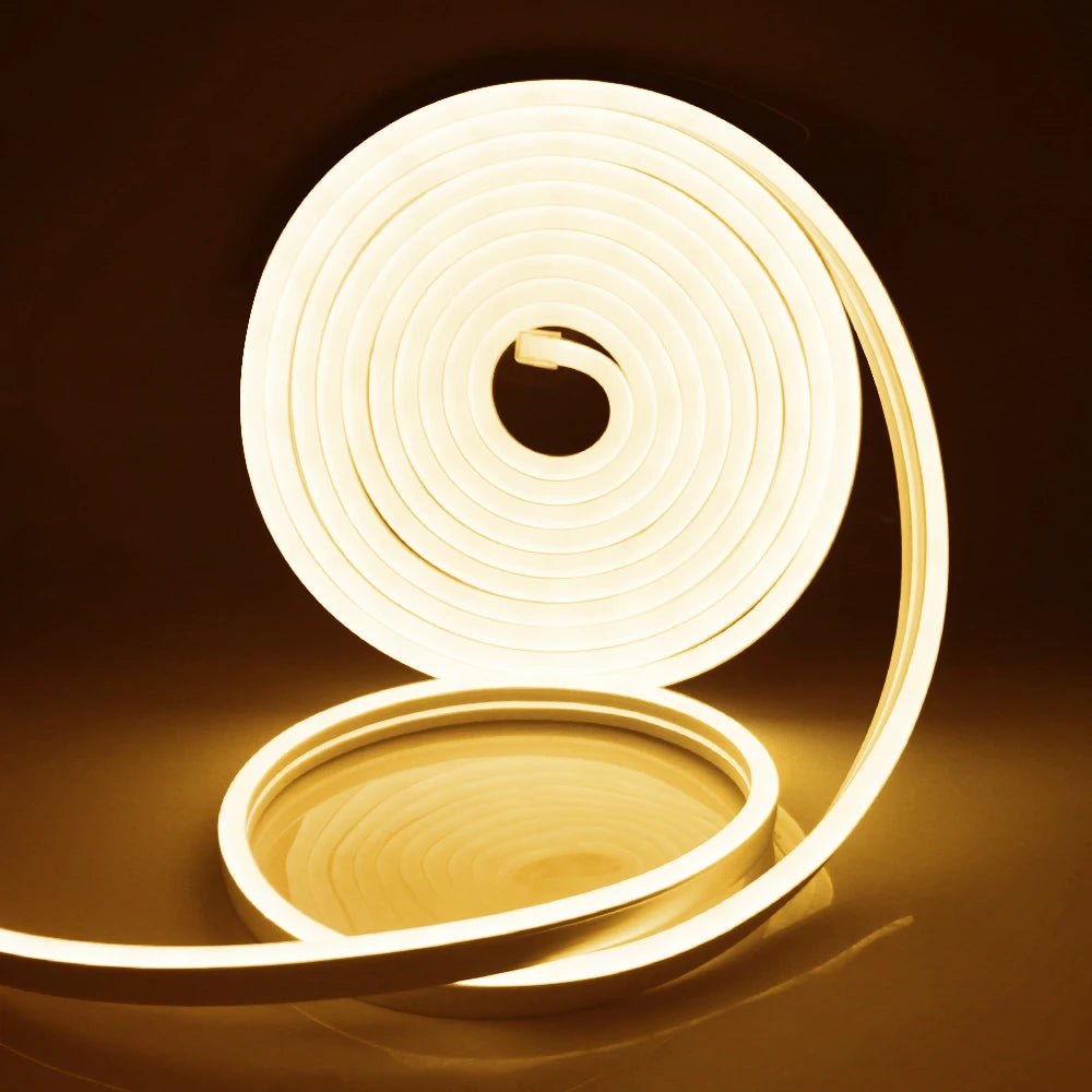 Neon Strip DC 12V IP65 Waterproof 2835 120Leds/M White/Blue/Pink/Yellow/Red/Green Flexible Ribbion Rope LED Strip 0.5M 1M 3M 5M