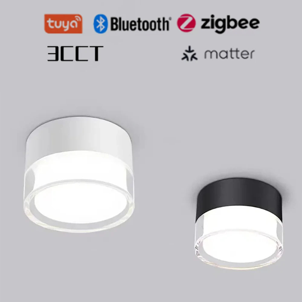 Led Surface Downlight 3CCT Tuya Bluetooth/ Zigbee Matter Fixtures Lighting Indoor Smart Lamp Lighting