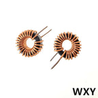 5Pcs 10/22/33/47/56/68/100uh220uH Toroid Core Inductors 65125 Winding Magnetic Inductance Iron Gauge Aluminum Magnetic Ring Coil