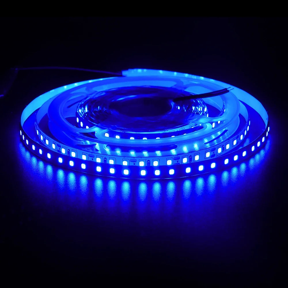 DC 12V LED Strip Light SMD 2835 120LEDs/m Red Green Blue Warm Cold White Home Decor Flexible Ribbon Tape Rope Linear Lighting