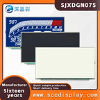Wholesale Customization SJXDGN075 Wide Temperature Digital Display LCD Screen HTN Anti Glare Segment Code Screen for Motorcycles