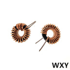 5Pcs 10/22/33/47/56/68/100uh220uH Toroid Core Inductors 65125 Winding Magnetic Inductance Iron Gauge Aluminum Magnetic Ring Coil