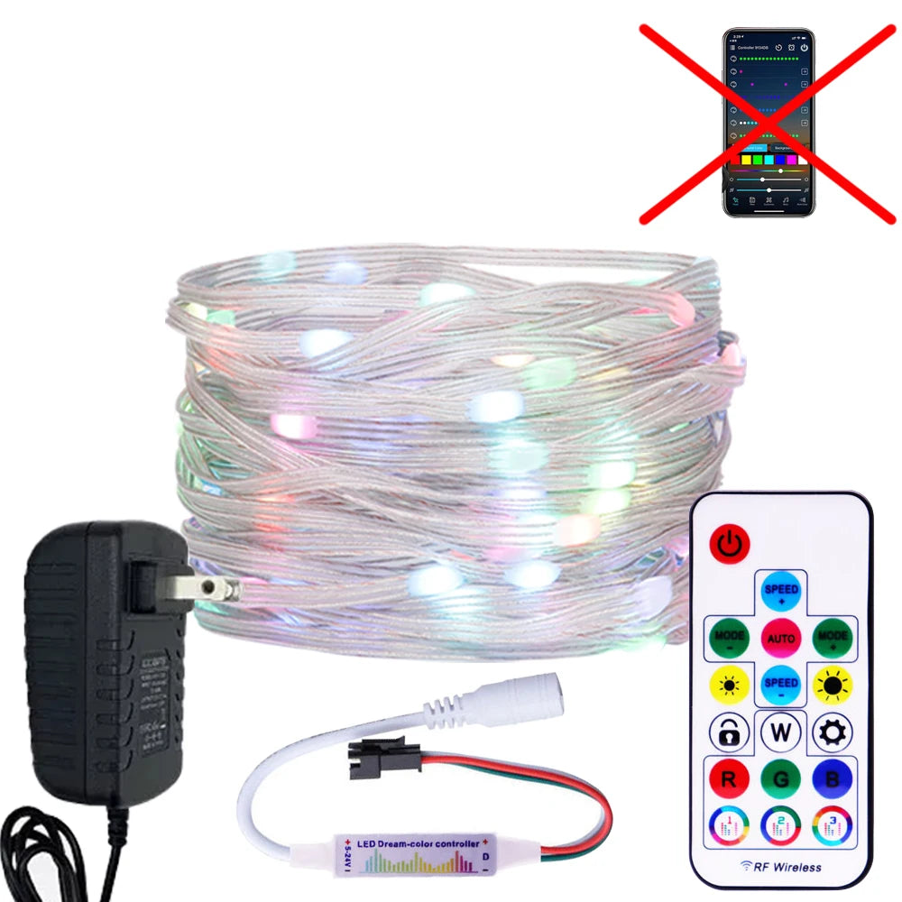 WS2812B RGBIC LED String 5M-20M Dream Color Party Christmas Lights Individually Addressable String Lights Waterproof USB DC DC5V