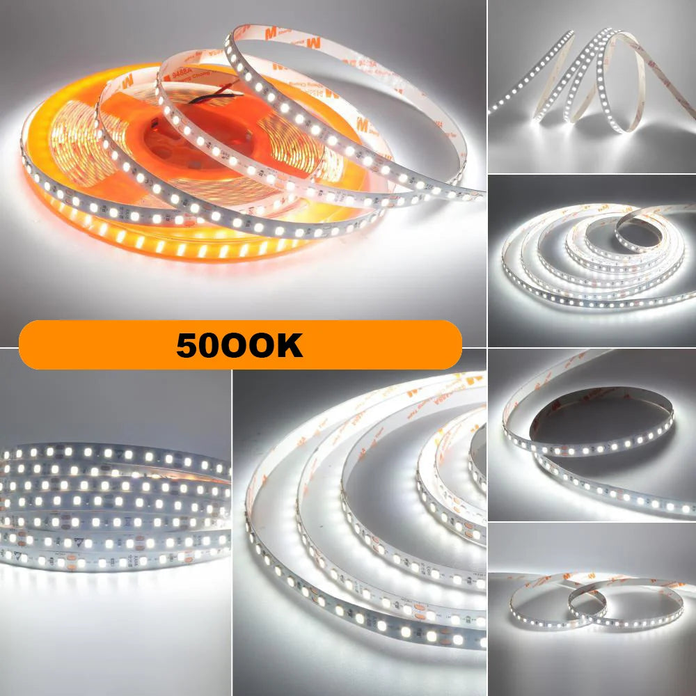 5m 10m RA98 LED Strip Light 2700K 3000K 3500K 4000K 5000K 6000K 12V 24V 2835 Flex Tape Stripe Hight Bright 120LED Home Lighting