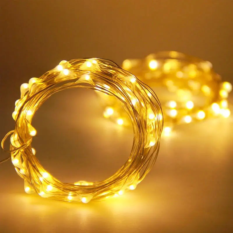 1M 2M 3M 5M Copper Wire LED String lights Holiday lighting Fairy Garland For Christmas Tree Wedding Party Decoration