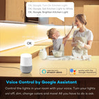 DC5-24V Tuya Wifi Wireless LED Controller Support iOs Android APP Alexa Google Voice Control for DIM CCT RGB RGBW RGBCCT Strip