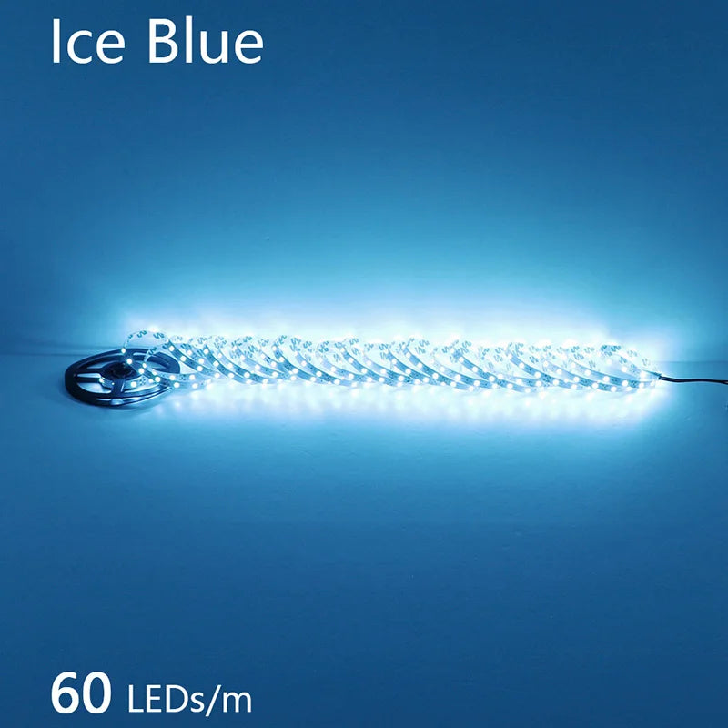 2835 5M 300 600 1200LEDs LED Strip DC12V 24V 120LEDs/m Home Waterproof IP65 Lamp Strip  Flexible And Cuttable Soft Lamp Bar