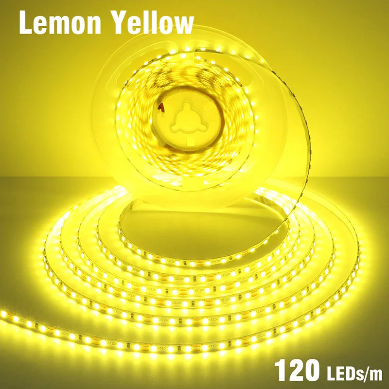5mm 8mm LED Strip 2835 DC24V 12V 120LEDs/m Home Lamp Strips Red Ice Blue Yellow Orange Pink Flexible And Cuttable Soft Lamp Bar