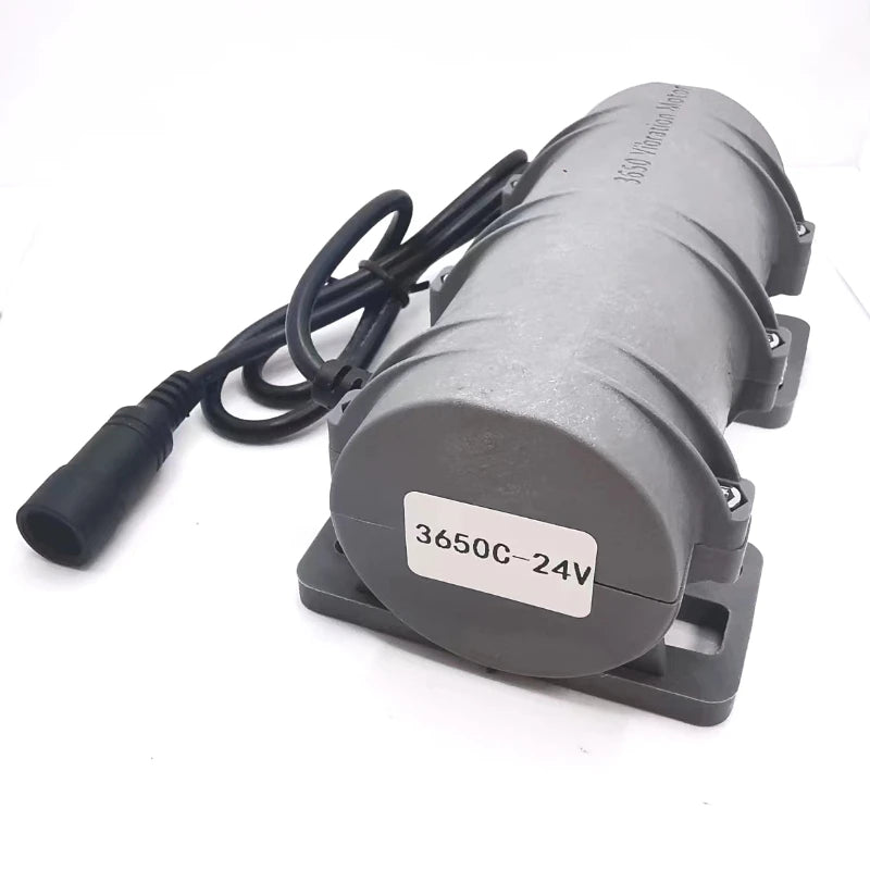 R3650 DC 12V24V Small Vibration Motor Speed Regulation Alarm System Massage Table Chair Motor Equipment