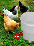 Automatic Chicken Coop Door Chicken House Door Light Sensor Farm Chicken Opener Pets Duck Cage Door Supplies Battery Powered