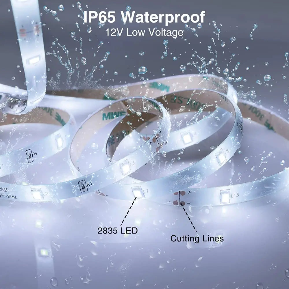 5M LED Strip Light DC 12V 24V 2835 Flexible Ribbon Diode Light 60/120/240/480 LED Stripe Warm Natural Cold White Luces Led Tape