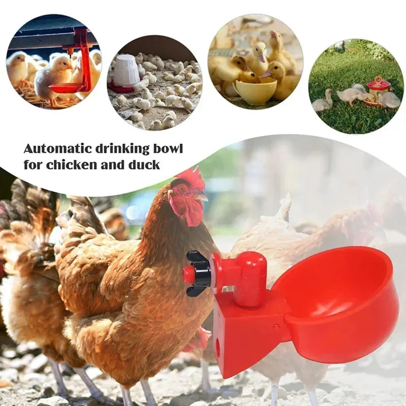 5-50Pcs Chicken Duck Drinking Cup Automatic Drinker Chicken Feeder Plastic Poultry Farm Water Drinking Cups Easy Installation