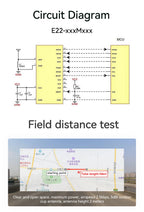 170/433/868/915Mhz LoRa SX1262 Wireless Transceiver CDSENET E22 Series 22-33dBm Low Power 5-16km SMD TCXO Transmitter Receiver