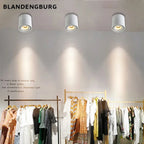 LED Surface Mounted Ceiling Light, 3CCT TUYA Bluetooth/Zigbee Matter Smart Spotlight Dimmable AC110V 220V Indoor Lighting
