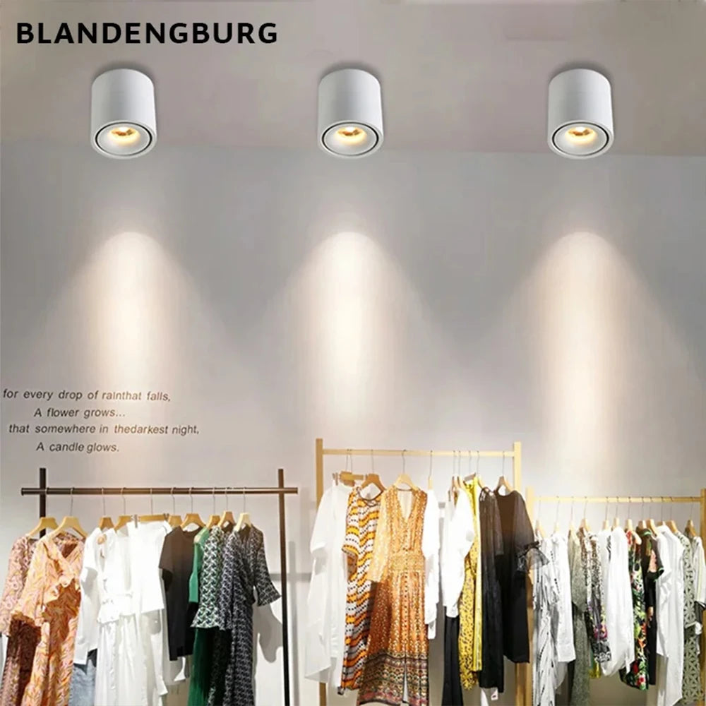 LED Surface Mounted Ceiling Light, 3CCT TUYA Bluetooth/Zigbee Matter Smart Spotlight Dimmable AC110V 220V Indoor Lighting