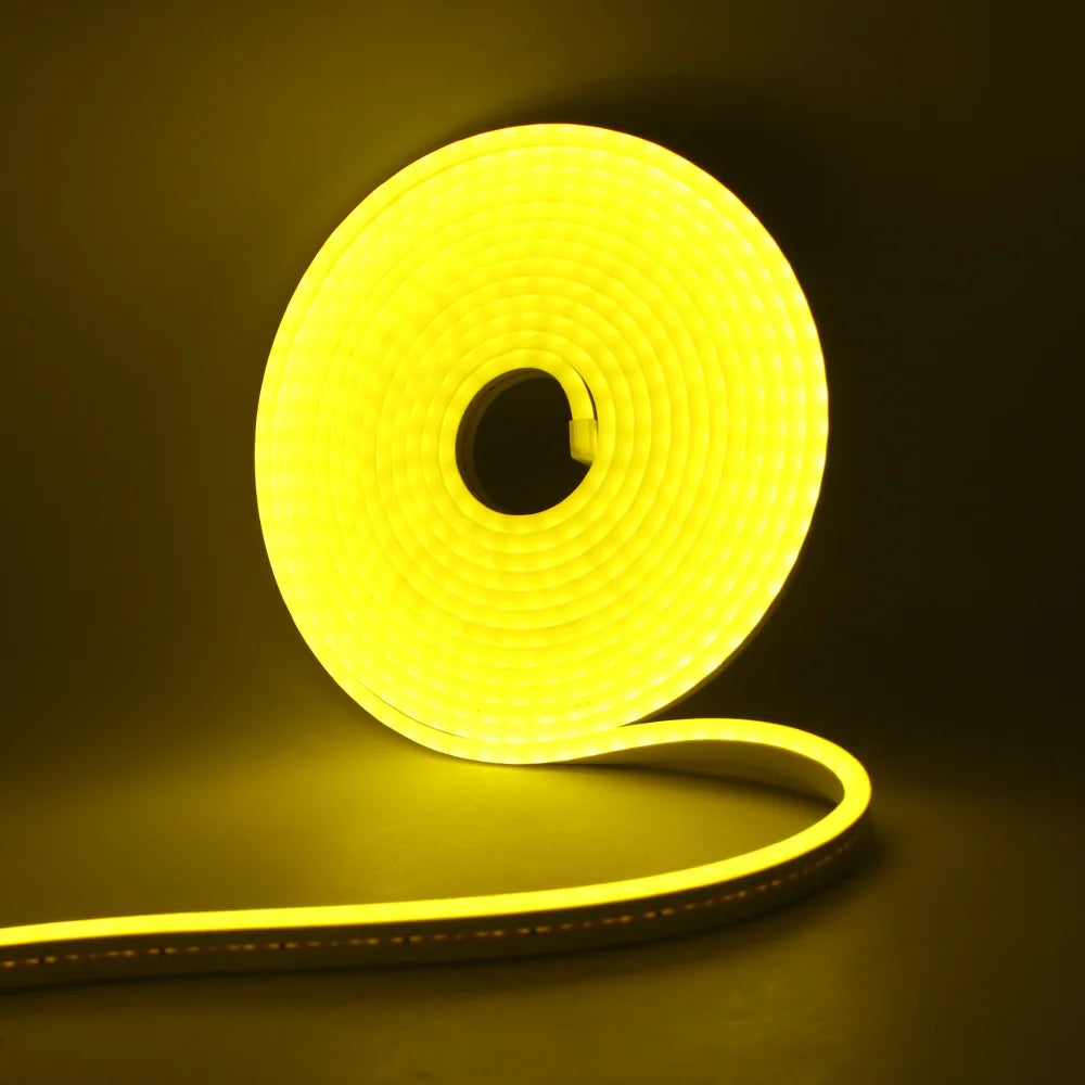 12V 24V LED Neon Light Strip Waterproof Neon Sign 6X12mm Silicone Rope Lights Flexible Lamp Decoration with DC Plug/2pin Wire