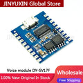1Pcs voice playback module IO triggered serial port control USB download flash voice module DY-SV17F