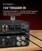 AIYIMA A20 PFFB Stereo Power Amplifier TPA3255 HiFi 2.0 Audio Amp 300Wx2 with XLR/RCA Fully Balanced Input HPF High Pass Filter
