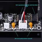 SAMP-100 TPA3255 2x300W 600W Hi-Fi Digital Amplifier Board High Power 2-Channel