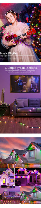 DC5V Addressable WS2812B LED String Transport Green Black Wire WS2812 3PIN Wire RGB Strip Christmas Lights Waterproof Decor