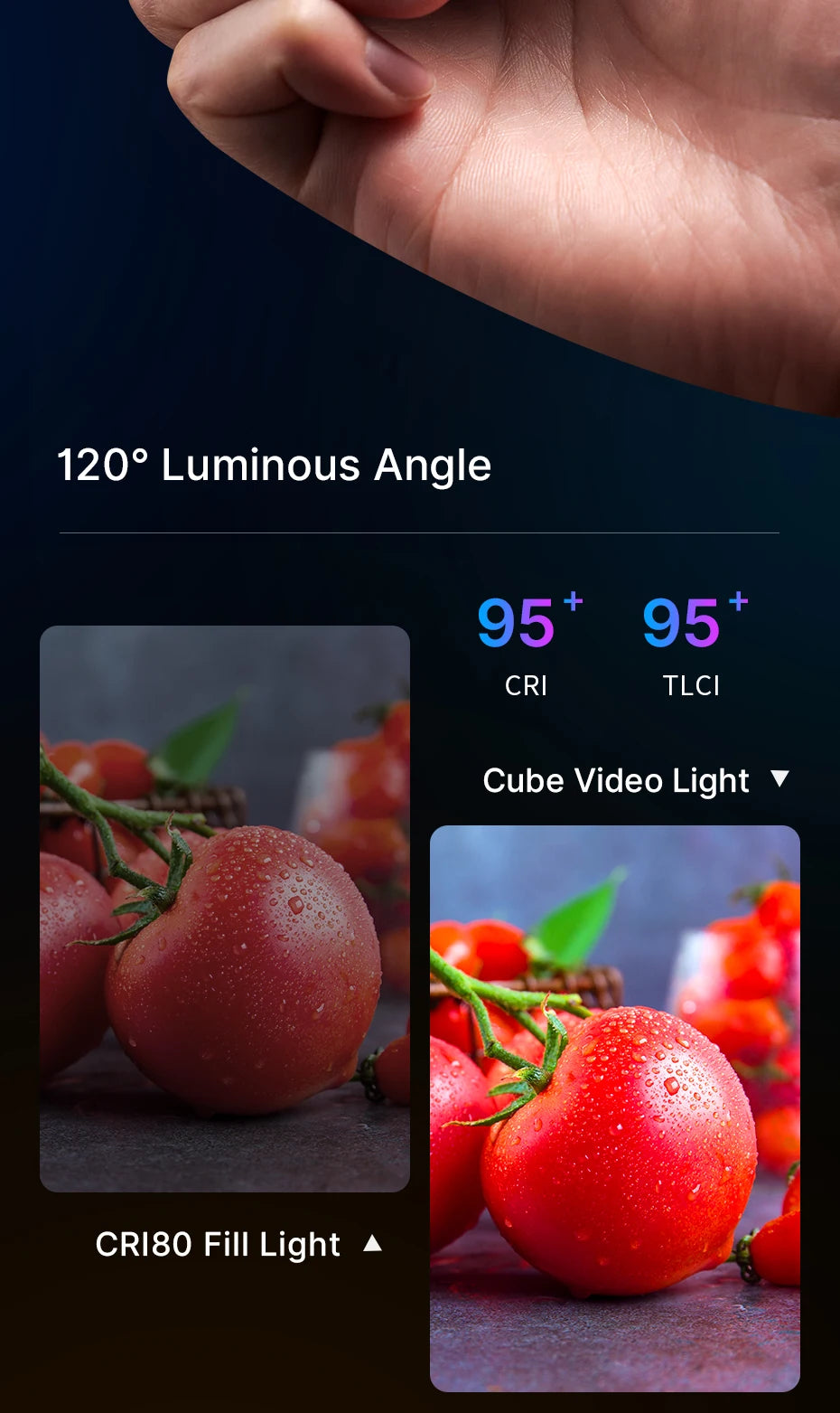 Ulanzi VL49 RGB PRO Full Color LED Video Light 2500K-9000K Camera Light for Photopraphy with Honeycomb Diffuser