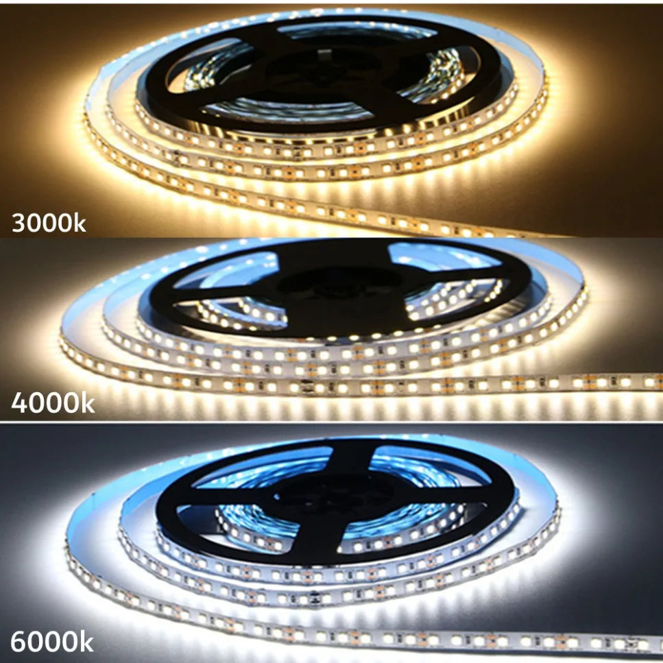 12V 24V LED Strip Light SMD 2835 6000K 3000K Warm White Stripe Flex Tape Light 120LEDs/M 240LEDs/M 8mm 10mm PCB for Lighting