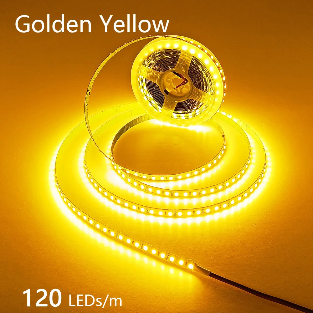 12V 24V LED Strip 2835 120LEDs/m Home Lamp Strip Pink Red Ice Blue Green Golden Yellow Orange Flexible Waterproof Soft Lamp Bar