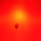 3v 1210 3528 Plcc-4 Three positive poles and one negati RED YELLOW BLUE Brake Lights And Turn Signals Led Chip Diode