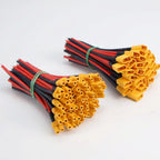 XT30 Male and Female Connector Plug with Silicone Wire 16AWG Cable, Suitable for FPV Drones with RC Lipo Fixed Wing Batteries