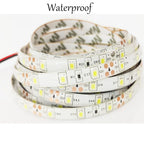 LED Strip Lights 12V Waterproof 60Leds/M Flexible Home Decoration Bar Lighting Replace SMD 3528 5050 5630 5730 LED Tape