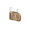 10PCS Maxi Blade Fuse Large Size 20A 30A 40A 50A 60A 70A 80A 100A Auto Fuses 12V 24V 32V For Car Truck Boat