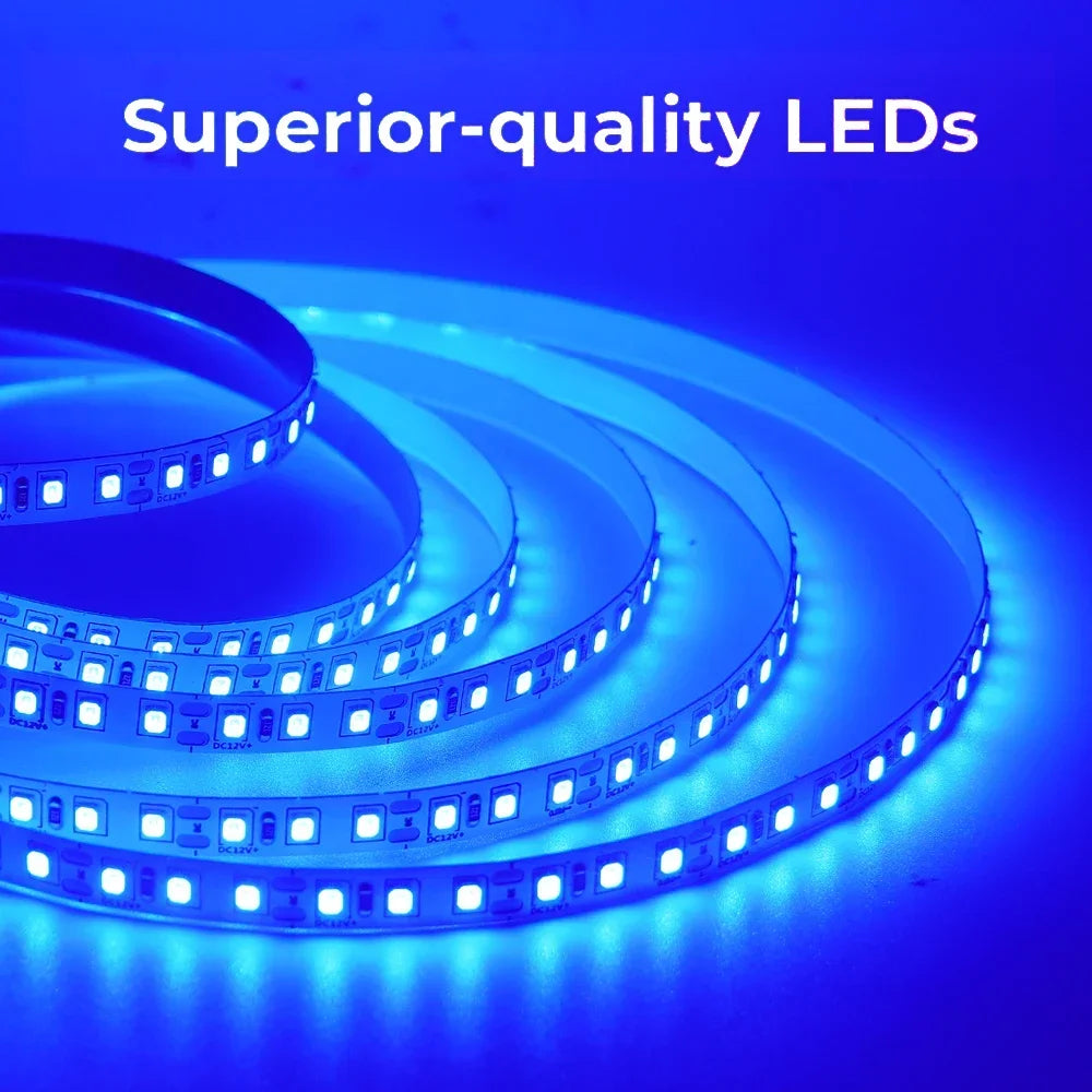 DC 12V LED Strip Light SMD 2835 120LEDs/m Red Green Blue Warm Cold White Home Decor Flexible Ribbon Tape Rope Linear Lighting