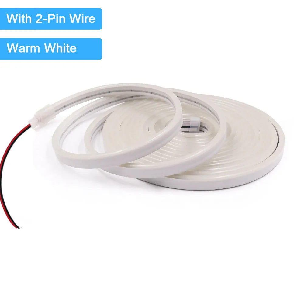 12V 24V LED Neon Light Strip Waterproof Neon Sign 6X12mm Silicone Rope Lights Flexible Lamp Decoration with DC Plug/2pin Wire