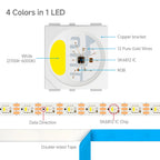DC12V SK6812 RGBW LED Strip Light 4 in 1 Similar WS2812B 60 144 LED Individual Addressable Smart Pixels Magic RGB CW NW WW Light