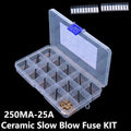 160PCS 250MA-25A 10A 12A 15A 20A 25A 15Values 2410 6125 1808 SMD Ceramic Slow Blow Fuse KIT 250MA 500MA 1A 2A 3A 4A 5A 6.3A 8A
