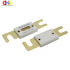(1-5PCS) Ceramics ANL Bolt-down Fuse 30A 50A 60A 80A 100A 125A 150A 200A 300A 500A 600A For High-Current DC Circuit Protection