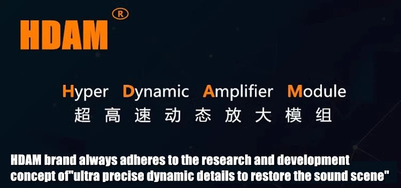SS3602 SS3601 SS2590 SS2598 SS3602AR dual/single OPAMP upgrade MUSES02 MUSES03 OPA2604AP AD827JN AQ LME49720HA V5i-D OPA627BP