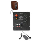 SOTAMIA TPA3116 2.0 Channel Active Speaker Bluetooth Power Amplifier Board 100Wx2 Digital Audio HIFI Amplifier PCM5102 Decoder