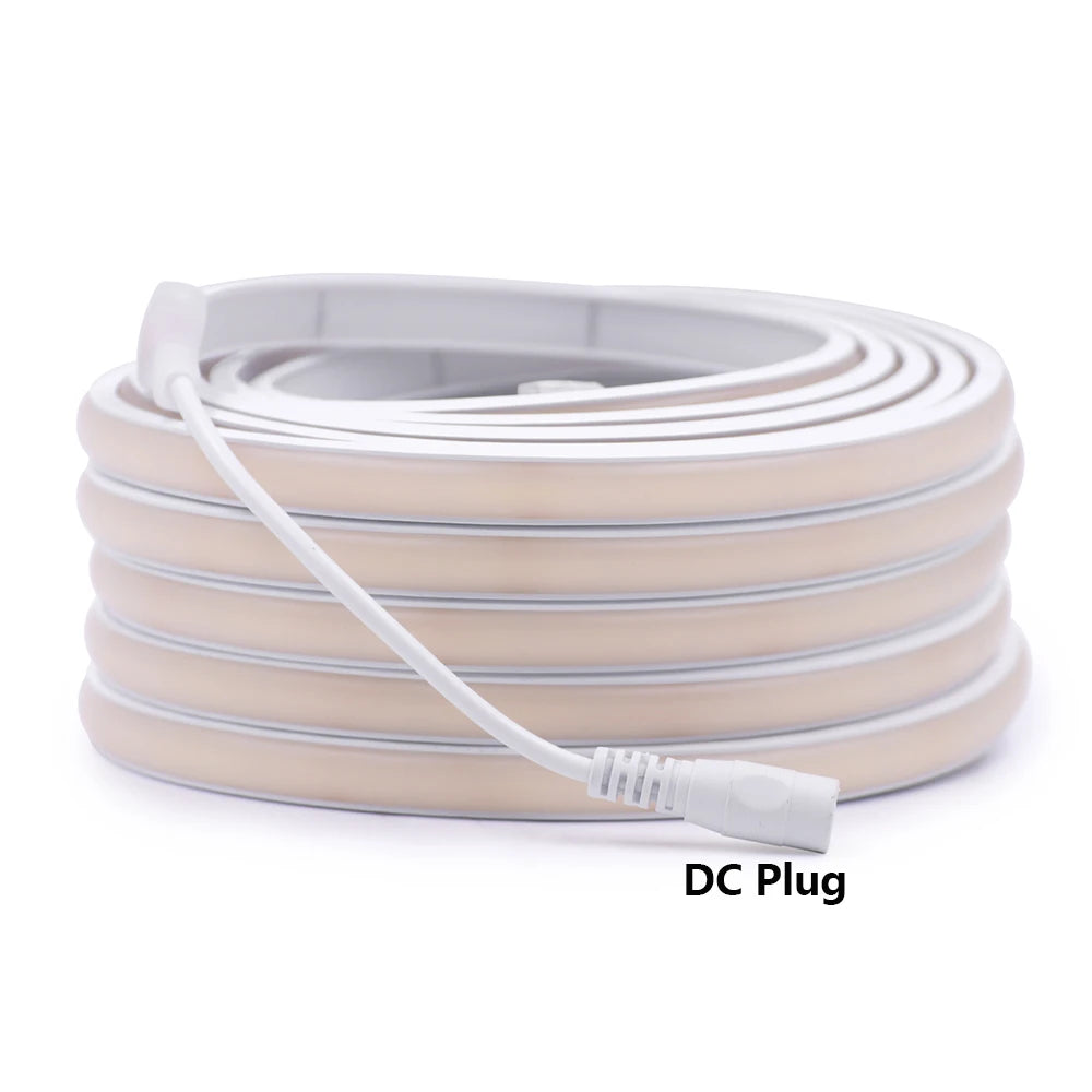 12V 24V COB LED Neon Strip Light IP68 Waterproof 320LEDs/m 2PIN Wire DC Plug 3000K 4000K 6000K Flexible Tape Rome Lighting 0.5m