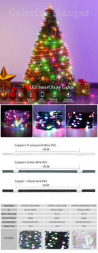 WS2812B RGB LED StringTransparent Green Black Wire Addressable  Wedding Garland Decoration Christmas Lights USB Controller DC5V