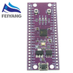 W806 Microcontroller 240MHZ 5-8Bit STM32 Development Board CH340 IoT MCU Chip CDK Development Environment Low Power IOT