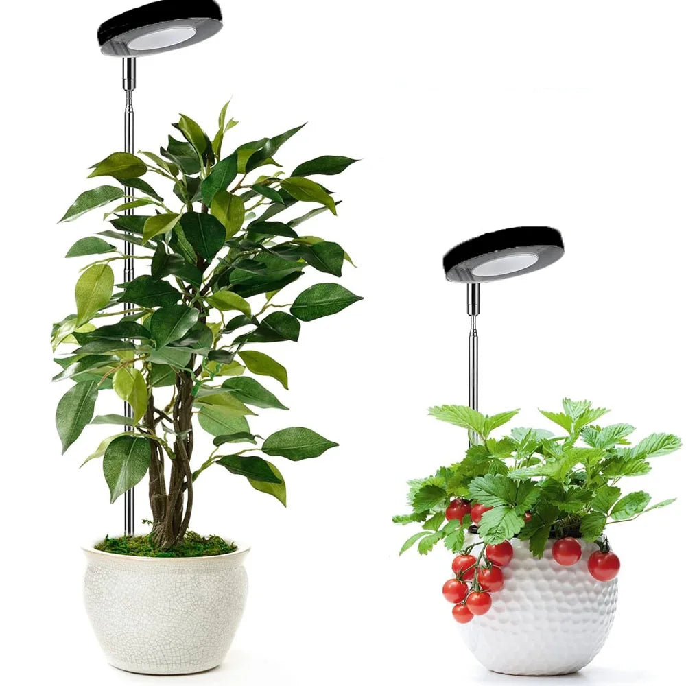 USB-Full-spectrum indoor solar LED growth lamp, USB timing dimming, succulent plants, flower bed telescopic fill light lamp