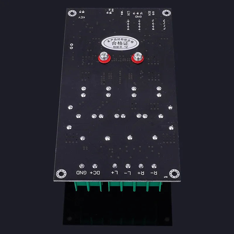 SAMP-100 TPA3255 2x300W 600W Hi-Fi Digital Amplifier Board High Power 2-Channel