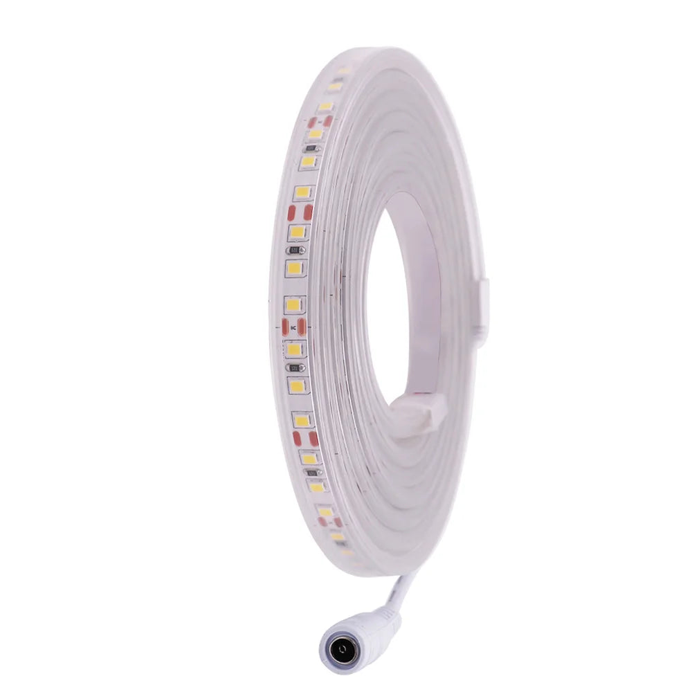 IP68 IP67 Waterproof LED Strip Light 2835 12V 24V DC Natural Warm White 120LED/m Super Bright Flexible Led Tape Lamp 0.5m 5m 10m