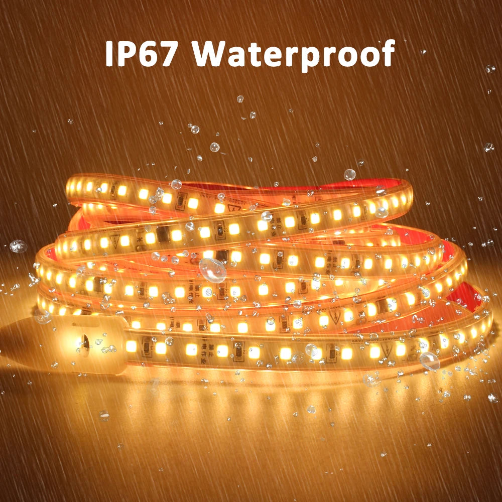 220V LED Strip Light SMD2835 120LEDs/m Waterproof Tape Lamp with EU Plug 1M 2M 3M 5M 10M 15M 20M Decor Lighting for the Yard