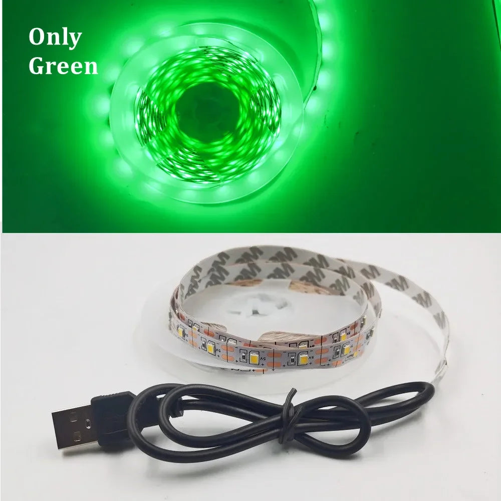 5M USB LED Strip Light 5V 3528 1 Meter 5 Meter Warm Cool White Pink Green Blue Red SMD Ribbon Ceiling Cabinet Light Waterproof