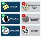 2/4/10/20 PCS C5W LED Bulb Canbus Festoon 31/36/39/41MM 12V 3030-6SMD 6500K White Car Interior Dome Reading License Plate Lights