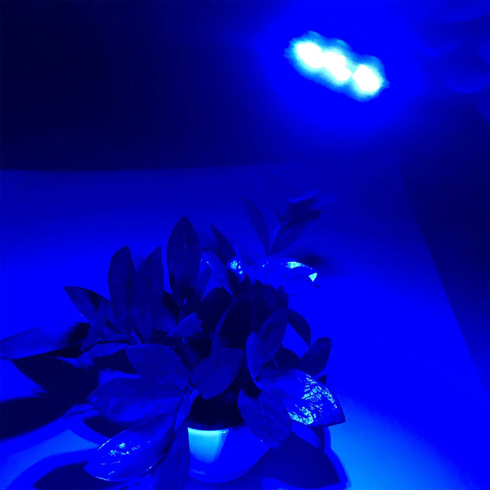 5pcs High Brightness 1.5W 5V LED 5730 SMD Color Lamp Bead Light Board Bulb With Line Red Yellow Green Blue Warm White Light