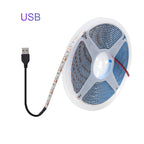 5V USB LED Strip Light Battery Power SMD 2835 3528 60LED 0.5m 1m 2m 5m Cold White Warm Blue Ribbon Cabinet Lights Night DC5V
